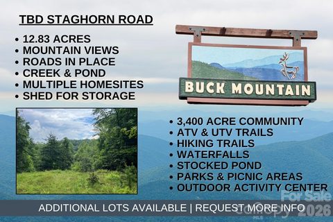 Tbd Staghorn Road active home in Buck Mountain, Purlear, NC