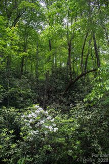 Tbd Fox Den Road active lot in Oak Laurel, Brevard, NC
