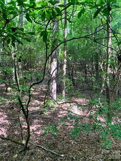 6 Double Creek Road active lot in Oak Laurel, Brevard, NC
