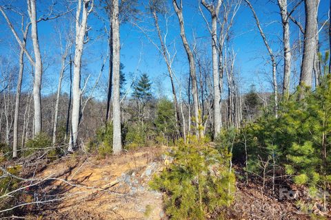 136 Riverbend Forest Drive sold home in Riverbend Forest, Asheville, NC