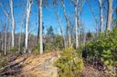 136 Riverbend Forest Drive sold home in Asheville, SC