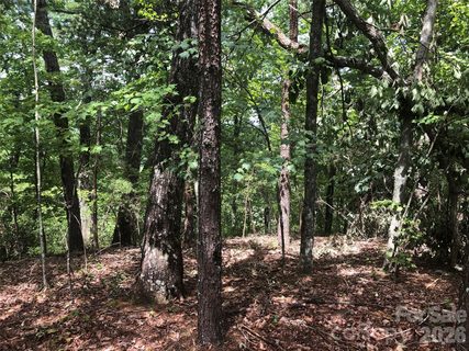 0 Buffalo Creek Road active home in Riverbend Highlands, Lake Lure, NC