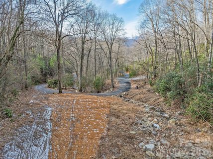119 Wildflower Cove Drive active home in Alpine Mountain, Swannanoa, NC