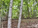 Lot 30 Granny Smith Lane sold home in Lake Lure, SC