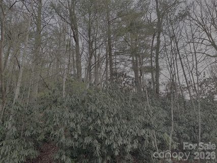 742 Zelda Court sold lot in Estates Of Salisbury, Hendersonville, NC
