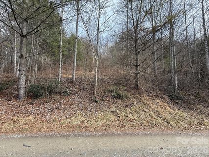 000 Rosalie Lane sold home in The Rosalie, Waynesville, NC