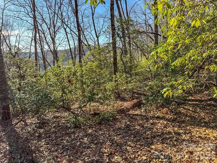 1647 Mills River Way active lot in Homestead At Mills River, Horse Shoe, NC