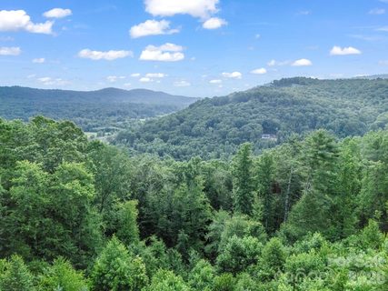 Homes in Hunters Glen, Hendersonville