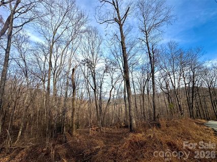 0 Peartree Drive active home in Riverbend Highlands, Lake Lure, NC