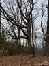 201 Glen Valley Drive sold home in Weaverville, SC