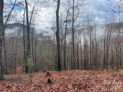 75 Wild Turkey Loop active lot in French Broad Crossing, Marshall, NC
