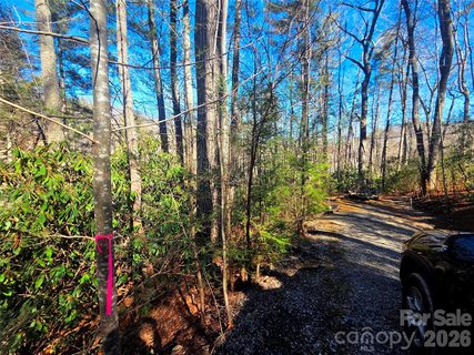 Homes in Rivers Edge, Waynesville