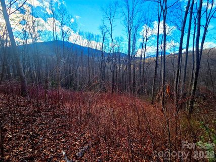 Homes in Balsam Forest, Waynesville