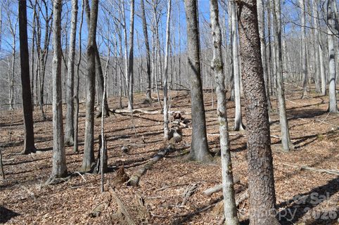 00 Shadow Creek Lane sold lot in Mountain Shadows, Columbus, NC