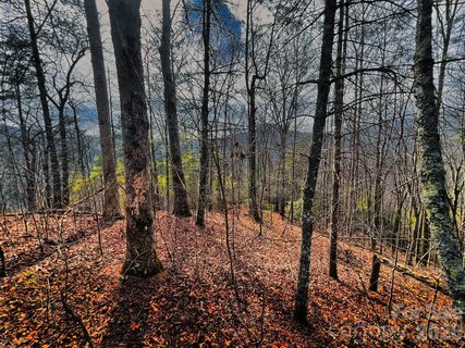 232 Thorncliff Road active home in Bear River Lodge, Marshall, NC
