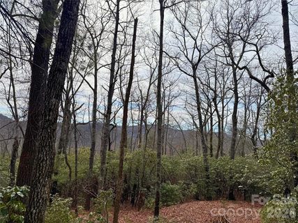 Tbd Laurel Thicket Lane active lot in Big Hill, Brevard, NC