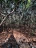 Lot 38 High Peak Road sold home in Hendersonville, SC