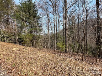 Tbd Wood Stone Drive sold home in Silverstone, Hendersonville, NC