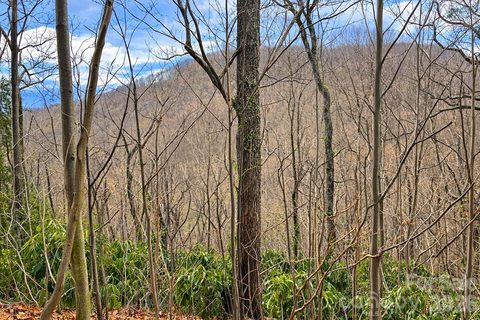 11 Majestic Overlook Way sold lot in Ashewood, Candler, NC