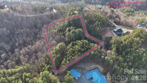 0 Cozy Lane active home in The Peaks At Lake Lure, Lake Lure, NC