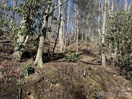 1237 Hickory Acres Road active lot in Hickory Acres, Hendersonville, NC