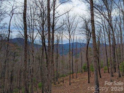51 Wild Turkey Loop active lot in French Broad Crossing, Marshall, NC