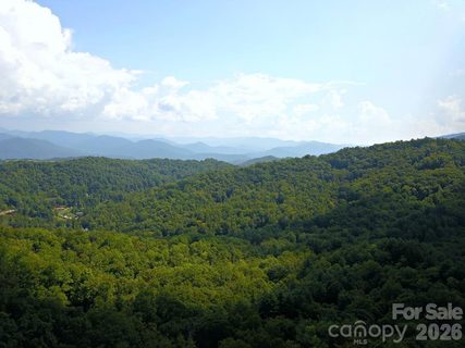 Homes in Mountain Forest Estates, Sylva