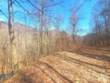 1200 Chestnut Flats Lane active home in Villages Of Plott Creek, Waynesville, NC
