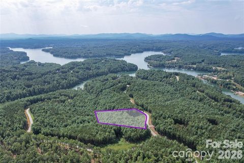 Homes in The Enclave At Lake James, Nebo