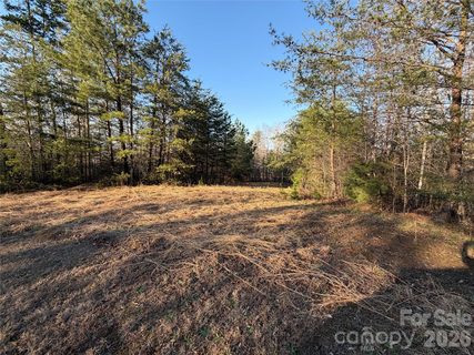 0 Shady Bark Lane active home in Ole Plantation, Rutherfordton, NC