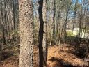 1403 Ron Whicker Drive sold home in Catawba, SC