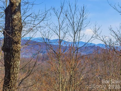 Tbd Panther Mountain Road