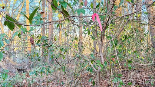 00 Toms Park Circle active lot in Toms Hill Park, Hendersonville, NC
