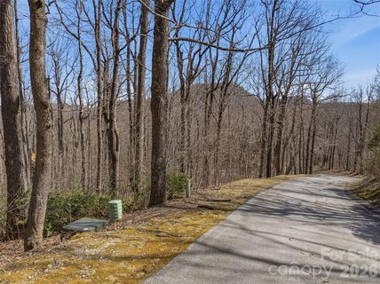 Tbd Wild Magnolia Way active home in The Cliffs Valley, Zirconia, NC
