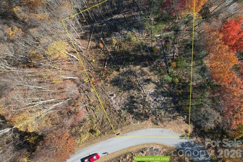 Homes in Mountain Watch, Waynesville