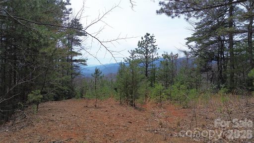 850 Harmonys Edge Drive active lot in Gateway Mountain, Old Fort, NC