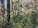 Lot 4 Whitney Boulevard sold home in Lake Lure, SC