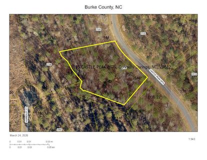 2115 Castle Peak Mountain active lot in Lakeside Reserve, Connelly Springs, NC