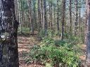 2494 Ivy Rays Way sold home in Nebo, SC