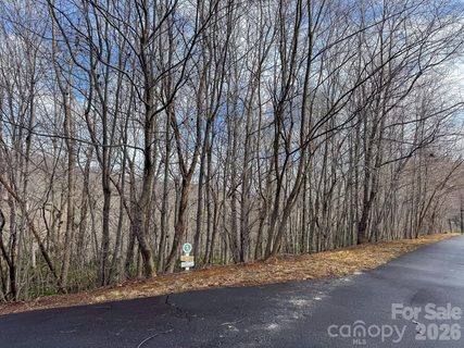 9999 Rainbow Falls Trail active home in Catawba Falls Preserve, Black Mountain, NC