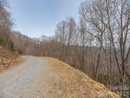 0000 Sigogglin Trail active lot in The Divide, Waynesville, NC
