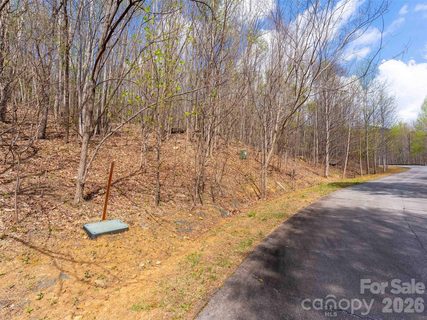 Lot 196 Cherry Hill active home in Brights Creek, Mill Spring, NC