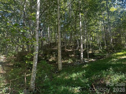 0 Clear Creek Trail active home in Highlands Of Lake Lure, Lake Lure, NC