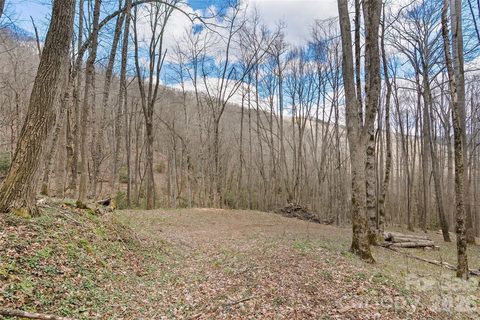 Homes in Big Laurel Inc, Waynesville