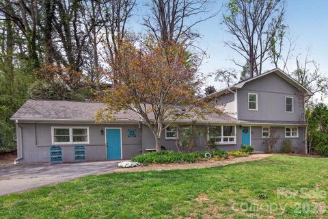 Homes in Lookout Valley, Asheville