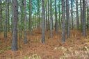 0 Clearwater Parkway sold home in Rutherfordton, SC