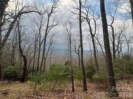 27 Deer Grass Court active home in The Cliffs At Walnut Cove, Arden, NC