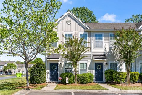 Homes in Steele Meadows, Fort Mill