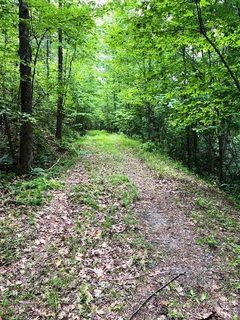 Lot 46 Lake Adger Parkway active home in Lake Adger, Mill Spring, NC