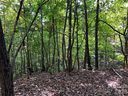 0 Old Forge Drive sold home in Bostic, SC